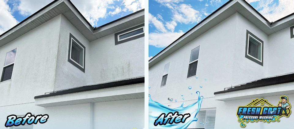 Residential Soft Washing Services in Kissimmee, Florida