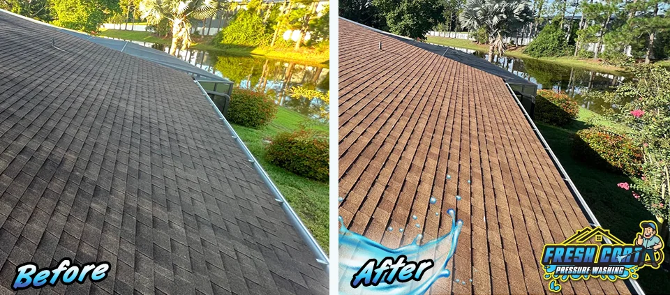 Shingle Roof Cleaning Services in Winter Haven, Kissimmee, Polk County, Florida